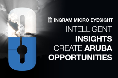 Ingram Micro Eyesight